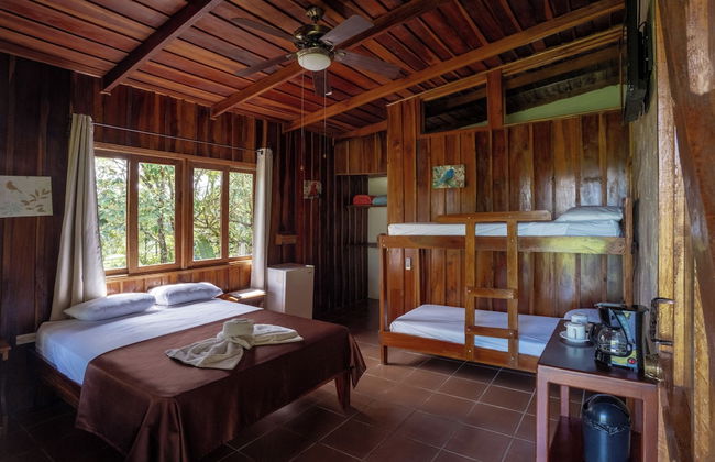 Villas Josipek - Photo 42