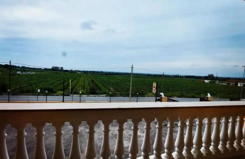 Roxy Bellavista - Foto 21