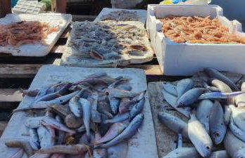 Appartamento Porto Marina VA1 - Foto 15