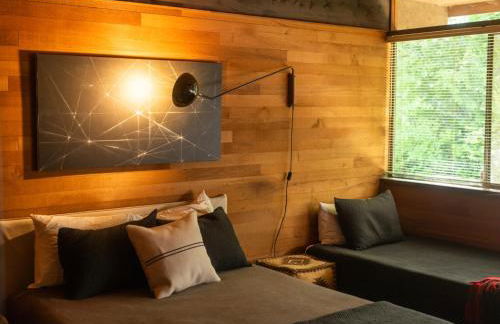 The Bald Seagle - Foto 32