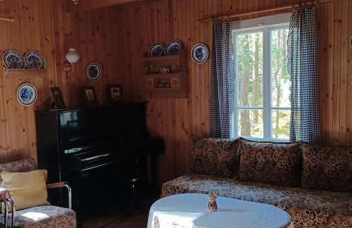 Wilga - urokliwy dom z bala (50 km od Warszawy) - Foto 5