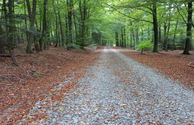 Gite in Ardennes With Sauna and Rural Views - Photo 33