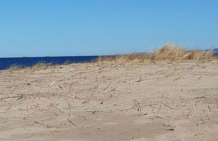 Christianshof Insel Usedom - Foto 16