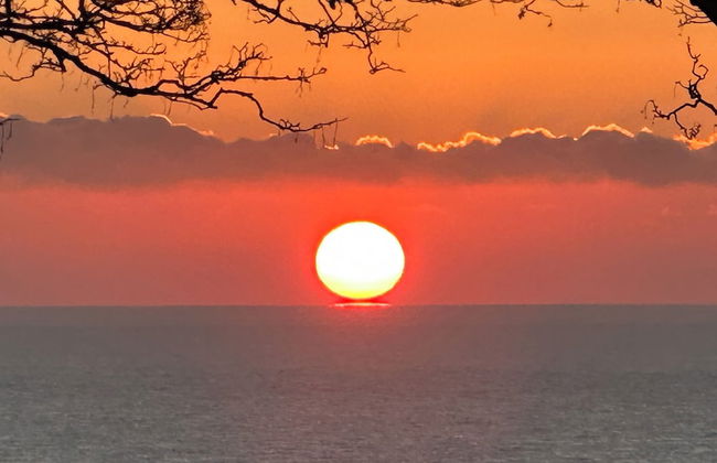 Winterstoke View, Family and dog Friendly Beach Retreat - Photo 42