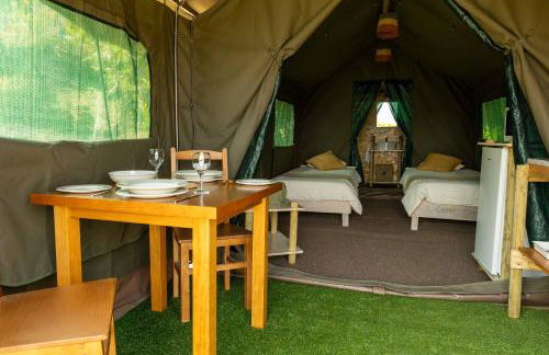 Safari Glamping Portugal Koi Fish - Foto 46