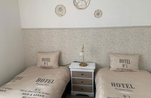 Maison aux portes de sologne - Foto 9