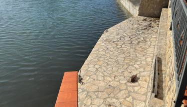 Bianca Appartamenti Bilocale - Foto 5