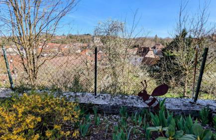 Le Brocangîte à Jules - Foto 27