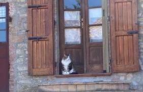 Torre Colombaia - Foto 21