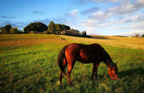 Agriturismo Casale dei Frontini - Photo 59