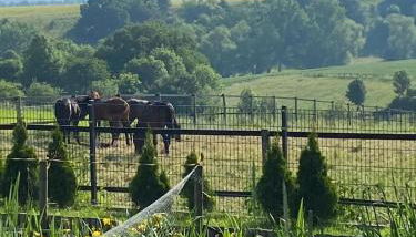 Ferienwohnung Soest Lendringsen - Foto 2