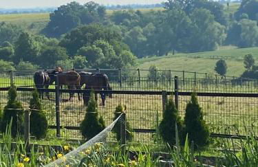 Ferienwohnung Soest Lendringsen - Foto 2