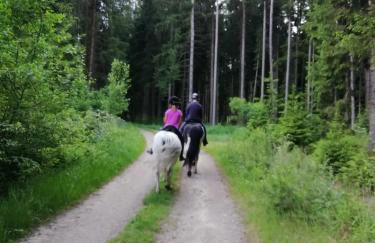 Ponyhof Adam Urlaub auf dem Bauernhof - Foto 56