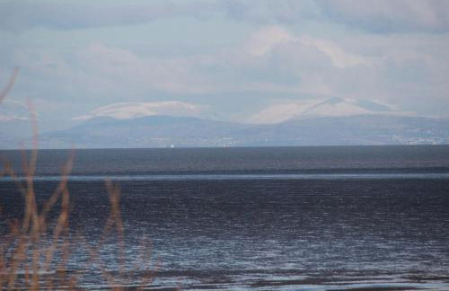 Dolphin House - Foto 49