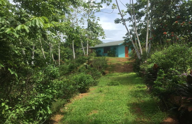 Room-villa With Primary Forest View - Foto 6