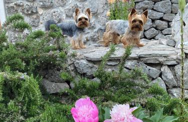 Home Sweet Home traditional Dalmatian house with pool - Photo 6