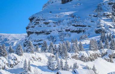 Les Chalets du Petit Châtel - Foto 12
