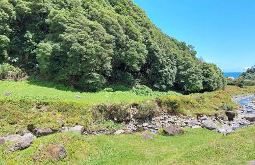 Casa do sanguinho - Photo 16