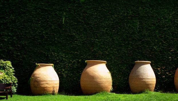 Jarres dans les jardins des caves