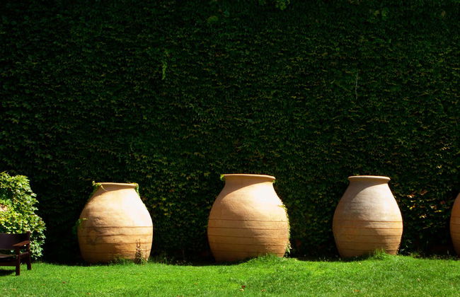 Visite des caves et vignobles de la Casa del Valle - Photo 4