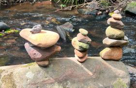 Cabana na Mata Paraíso da Serra - Foto 18