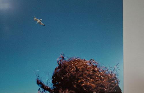 Haus Berghoff - Foto 40