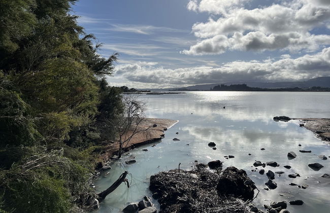 VacationStay on Lake Rd - Foto 23