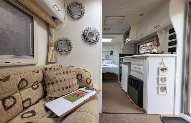 Glamping With Llamas - Foto 52