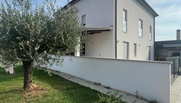 Apartment maslina - Foto 2