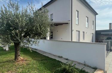 Apartment maslina - Foto 2