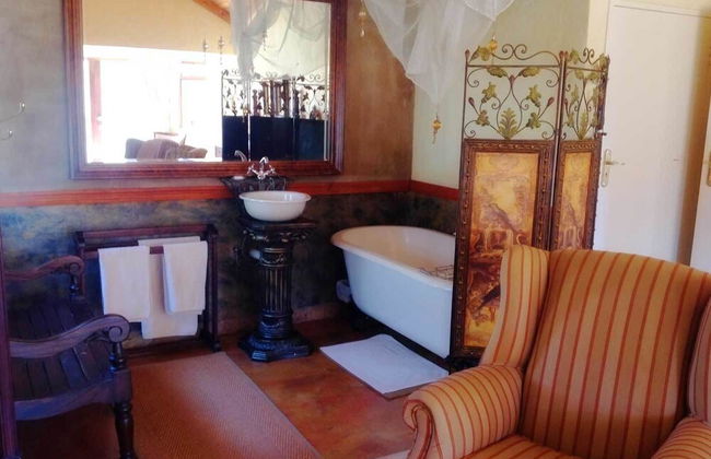 Fox and Squirrel - Foto 16