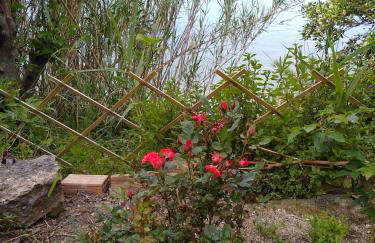 mare di zante "mare di levante" - Foto 16