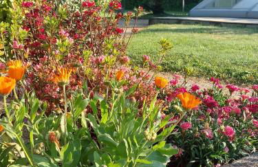 Gite 4, Domaine Logis Gascogne - Photo 30