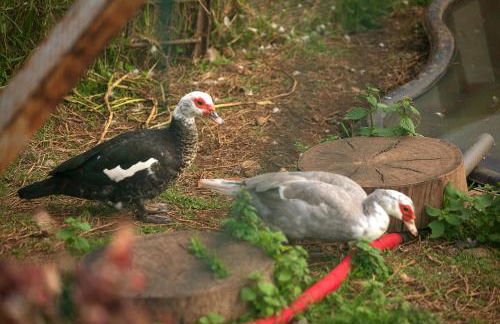 Bella Vista (Heated Pool & Private Parking) - Foto 29