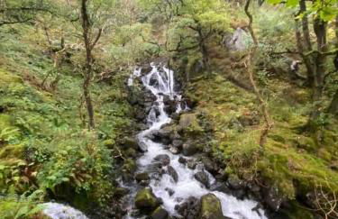 Delightful Chalet Peaceful Site Near Aberdyfi - Foto 22