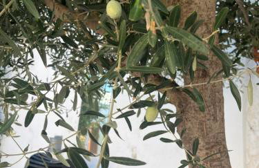 The White House - Aianteio - Foto 38