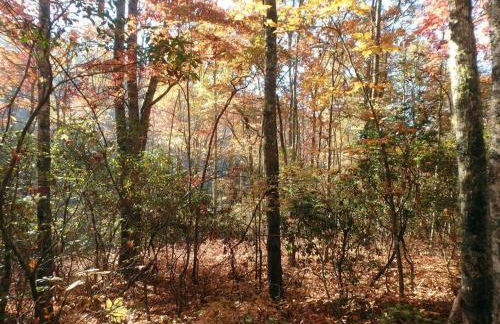 Nantahala Spiritual Retreat - Remote and Peaceful! - Foto 46