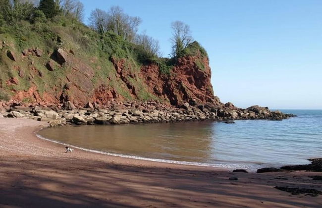 Lovely Stunning 2-bed Cottage in Torquay - Foto 32