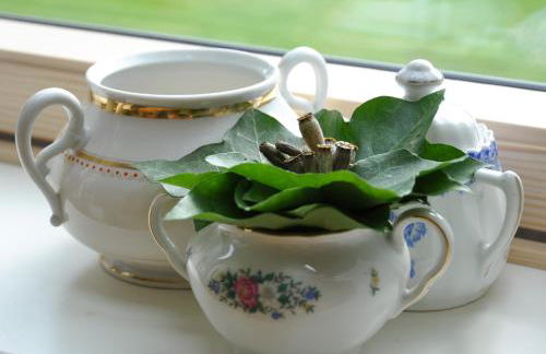 Schloms Hof - Foto 14