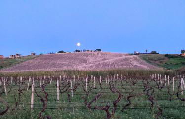 Fattoria Manostalla Villa Chiarelli - Foto 99