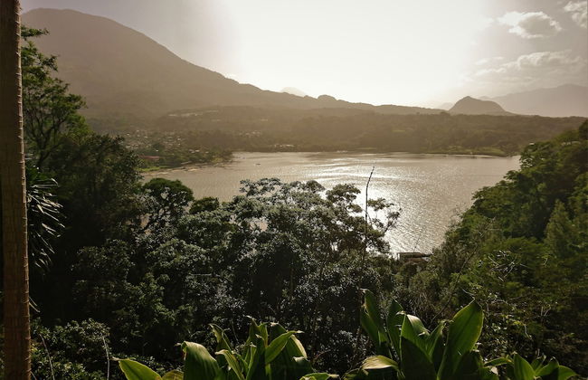 Pink house - Foto 15