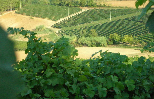 Casa Isabella - Foto 69