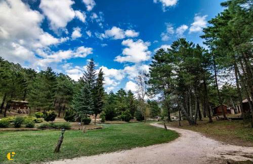 Chalet lujo en finca Zafiro lagunazo Riopar 5 o 3 dormitorios y 3 Baños Parque Natural del Rio Mundo - Foto 25