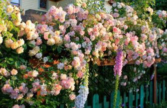 Come Home To A Place You've Never Been Before - Foto 27