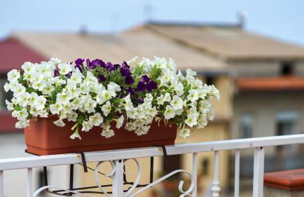 il Castello accomodation tropea - Foto 23