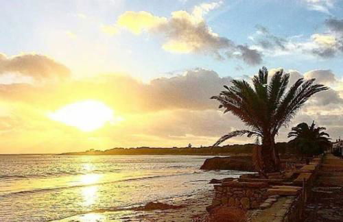 Brezza di Mare - Foto 26