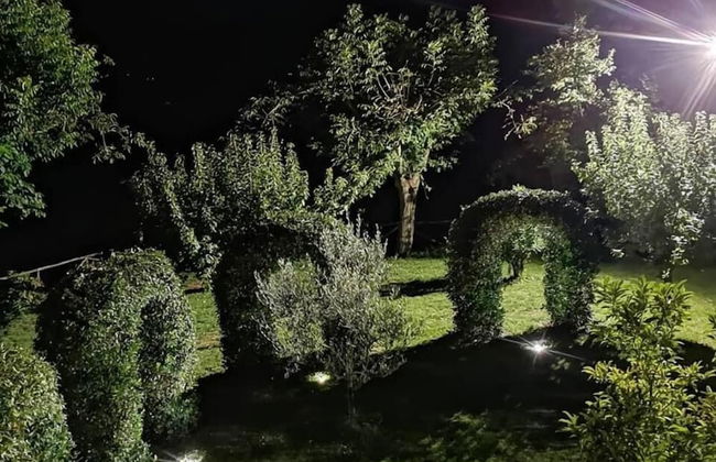 Il Nibbio Reale Country House - Foto 24