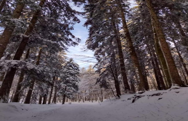 Holiday Home in Ortignano - Foto 35