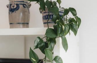 Stilvoll und ruhig - Foto 22