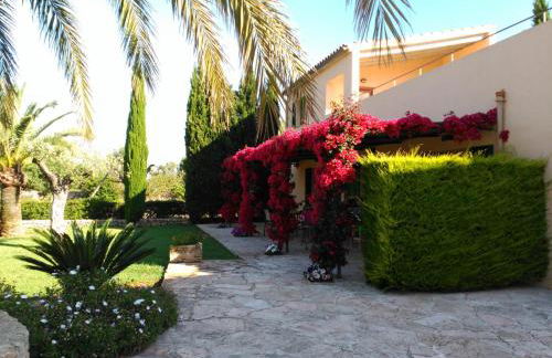 son capellot - Foto 61